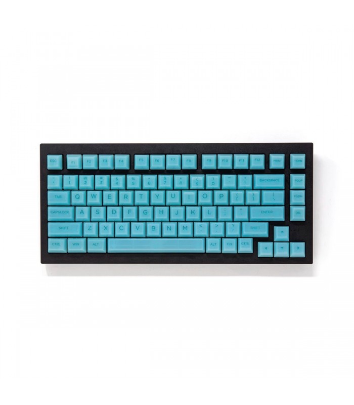 Akko ASA Clear Printed Keycap Mint Fullset