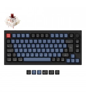 Keychron Q1 Black QMK Brown Switch (CH) w/Knob