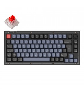 Keychron V1 Frosted Black Red Switch (CH) w/Knob