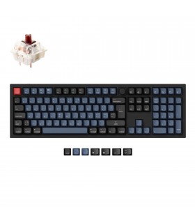 Keychron Q6 Black QMK Brown Switch (CH) w/Knob