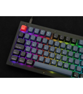 Keychron V1 Frosted Black Red Switch (CH) w/Knob