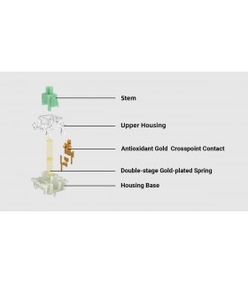 Gateron Baby Kangaroo Tactile Switch 110pcs/Set 