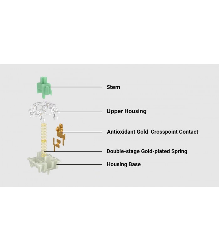 Gateron Baby Kangaroo Tactile Switch 110pcs/Set 