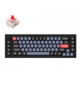 Keychron Q65 Black QMK Red Switch (US) w/Knob