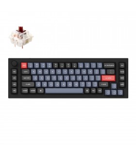 Keychron Q65 Black QMK Brown Switch (US) w/Knob