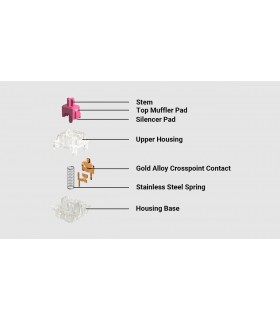 Gateron Aliaz Silent 100 gf Switch 110pcs/Set