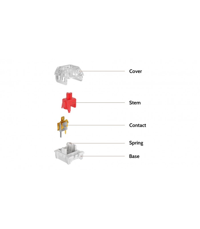 Kailh Switch 110pcs/Set Brown
