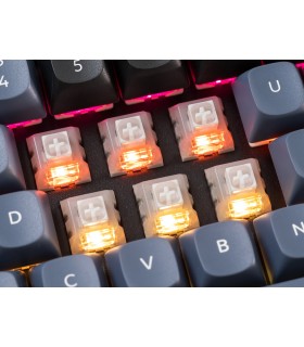 Kailh White Owl Box Switch 110pcs/Set