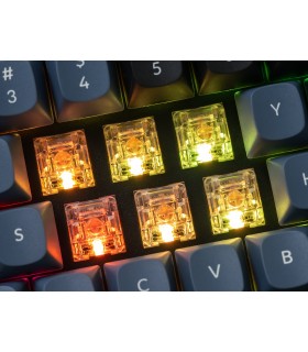 Kailh Clione Limacina Linear Switch 110pcs/Set