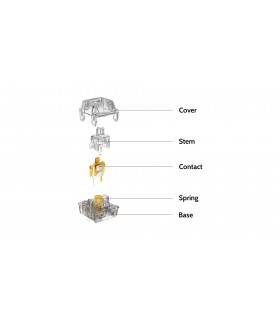 Kailh Clione Limacina Tactile Switch 110pcs/Set