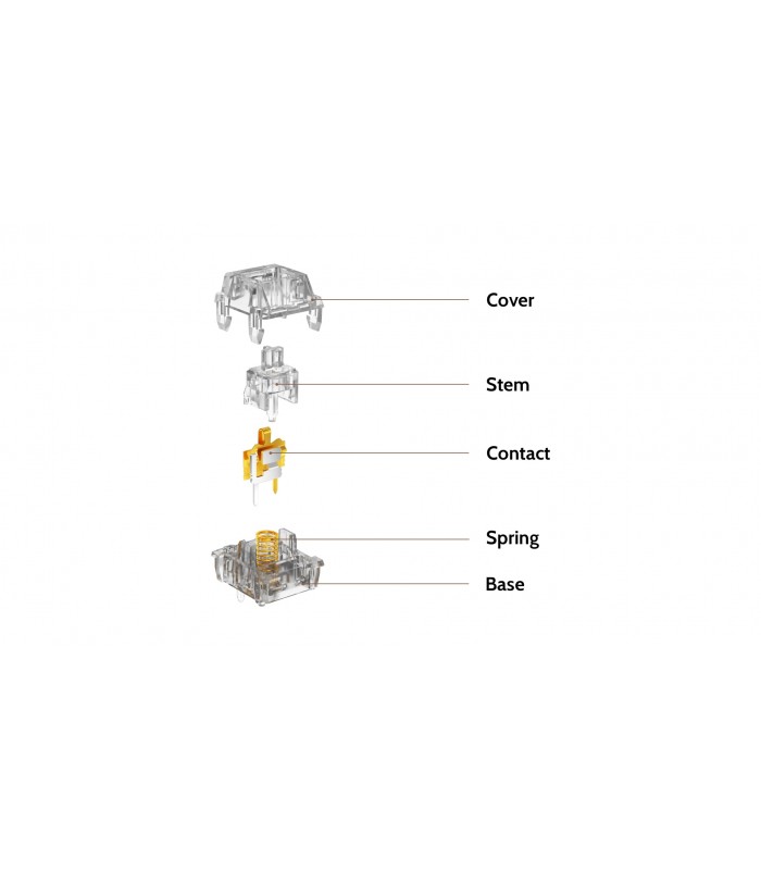Kailh Clione Limacina Tactile Switch 110pcs/Set