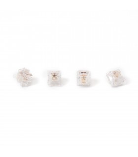 Kailh Clione Limacina Tactile Switch 110pcs/Set