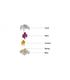 Kailh Crystal Burgundy Pro Switch 110pcs/Set