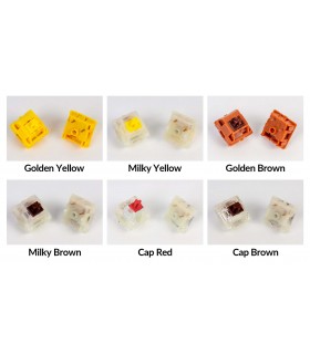 Gateron Cap V2 Switch 110pcs/Set Golden-Brown