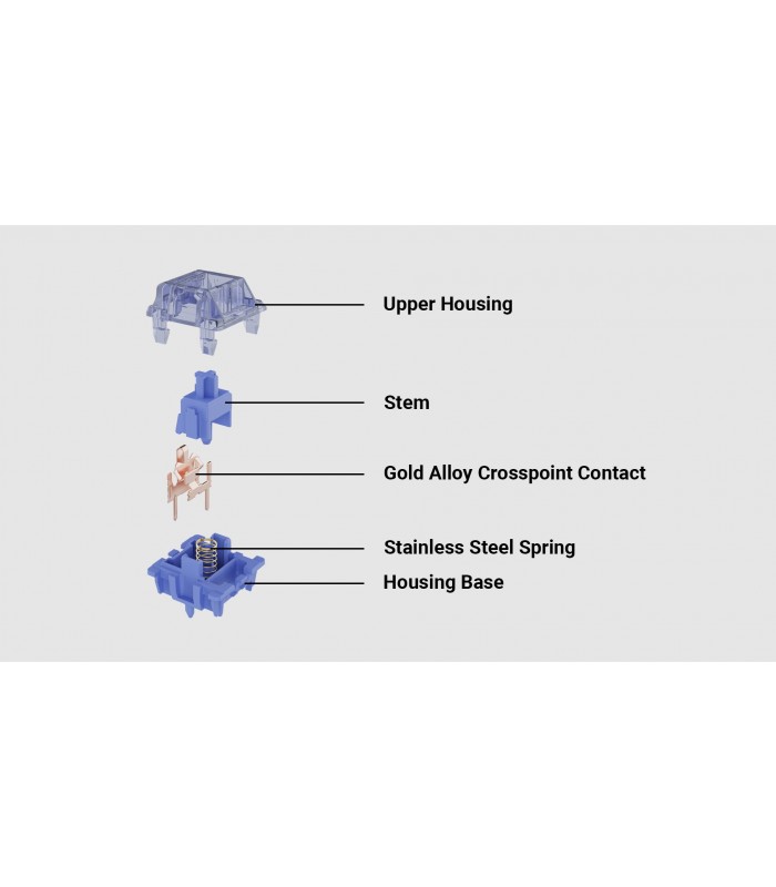 Gateron CJ Switch 110pcs/Set Light Blue