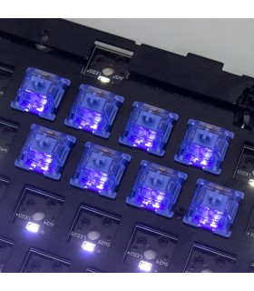 Gateron CJ Switch 110pcs/Set Dark Blue