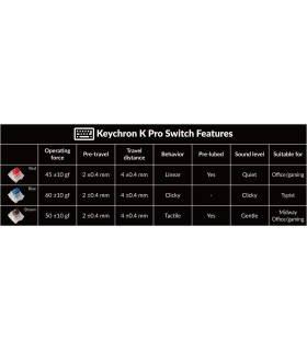 Keychron K2 Pro Blue Switch RGB (US)