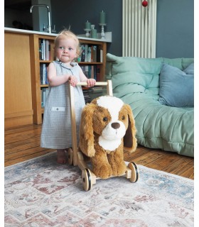 Peanut Puppy Baby Walker