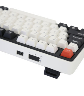 Varmilo Minilo VXT81 Retro Cherry MX Blk Clear Top
