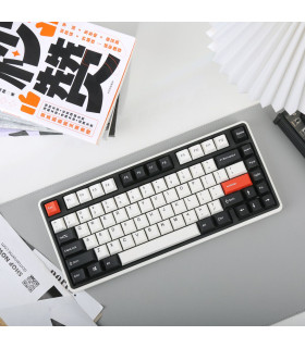 Varmilo Minilo VXT81 Retro Cherry MX Ergo Clear