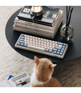 Varmilo VXT67 Euca. Gateron G Pro 2.0 Brown (US)