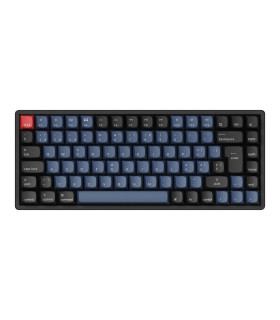 Keychron K2 Pro Red Switch RGB (CH)