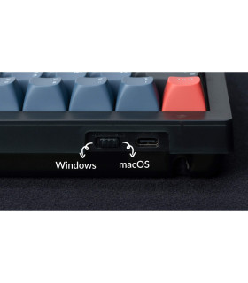Keychron V2 Frosted Black Red Switch (CH) w/Knob