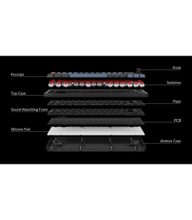 Keychron V2 Frosted Black Brown Switch (CH) w/Knob