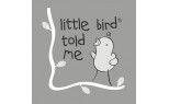 Little Bird Told Me